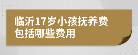 临沂17岁小孩抚养费包括哪些费用