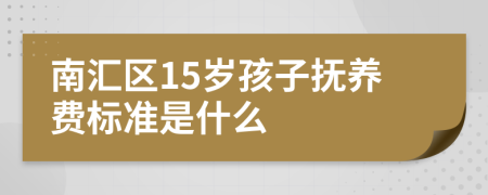 南汇区15岁孩子抚养费标准是什么