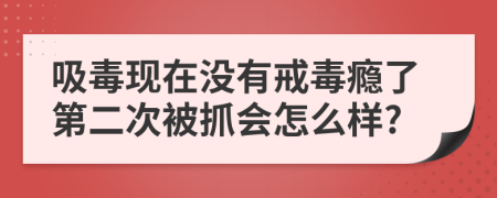 吸毒现在没有戒毒瘾了第二次被抓会怎么样?