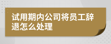 试用期内公司将员工辞退怎么处理