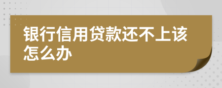 银行信用贷款还不上该怎么办