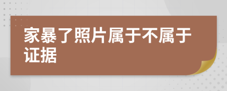 家暴了照片属于不属于证据