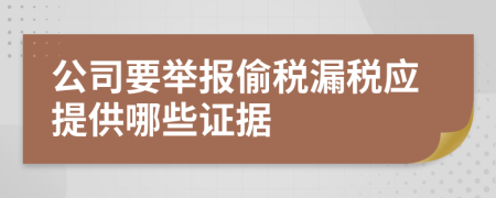 公司要举报偷税漏税应提供哪些证据