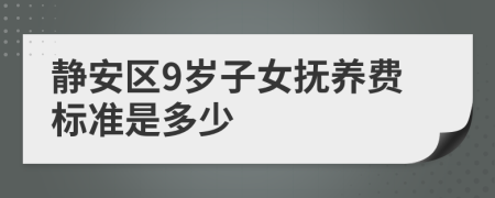 静安区9岁子女抚养费标准是多少