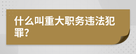 什么叫重大职务违法犯罪？