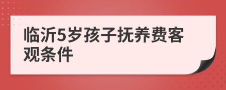 临沂5岁孩子抚养费客观条件