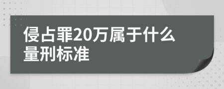 侵占罪20万属于什么量刑标准