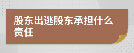 股东出逃股东承担什么责任