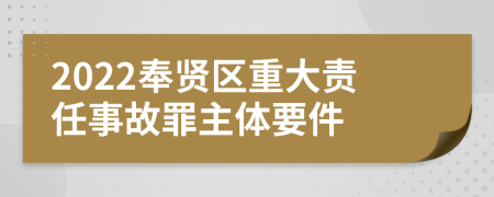 2022奉贤区重大责任事故罪主体要件