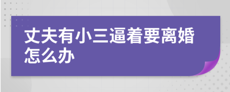 丈夫有小三逼着要离婚怎么办