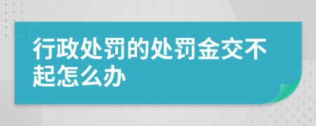 行政处罚的处罚金交不起怎么办