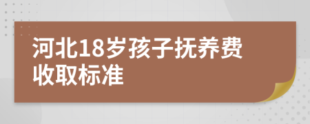 河北18岁孩子抚养费收取标准