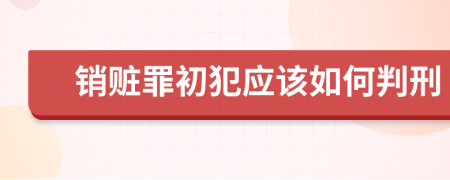 销赃罪初犯应该如何判刑