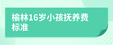 榆林16岁小孩抚养费标准