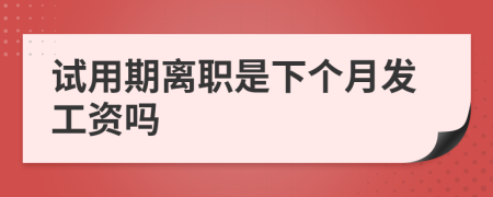 试用期离职是下个月发工资吗