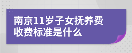 南京11岁子女抚养费收费标准是什么