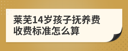 莱芜14岁孩子抚养费收费标准怎么算