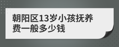 朝阳区13岁小孩抚养费一般多少钱