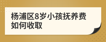 杨浦区8岁小孩抚养费如何收取