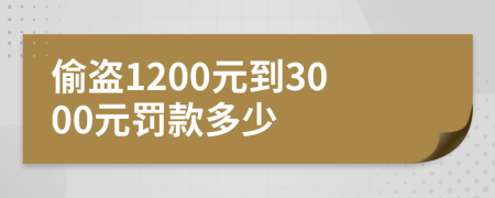 偷盗1200元到3000元罚款多少