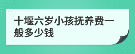 十堰六岁小孩抚养费一般多少钱