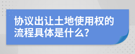 协议出让土地使用权的流程具体是什么？