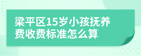 梁平区15岁小孩抚养费收费标准怎么算