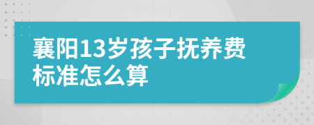 襄阳13岁孩子抚养费标准怎么算