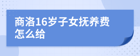 商洛16岁子女抚养费怎么给