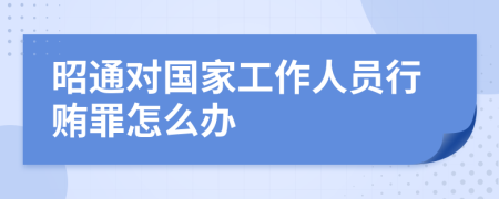 昭通对国家工作人员行贿罪怎么办