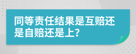 同等责任结果是互赔还是自赔还是上？