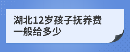 湖北12岁孩子抚养费一般给多少