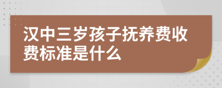 汉中三岁孩子抚养费收费标准是什么