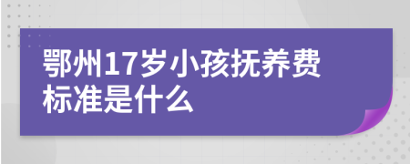 鄂州17岁小孩抚养费标准是什么