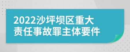 2022沙坪坝区重大责任事故罪主体要件