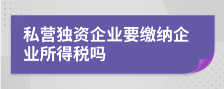 私营独资企业要缴纳企业所得税吗