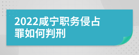 2022咸宁职务侵占罪如何判刑