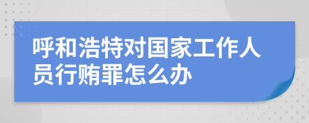 呼和浩特对国家工作人员行贿罪怎么办