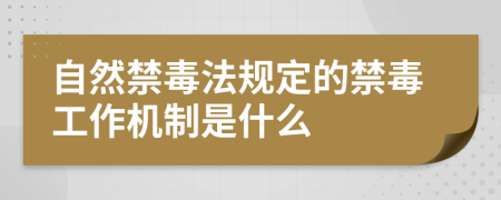 自然禁毒法规定的禁毒工作机制是什么