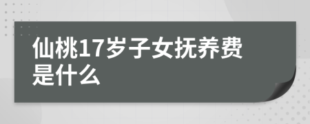 仙桃17岁子女抚养费是什么