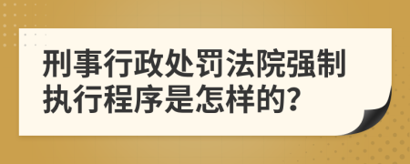 刑事行政处罚法院强制执行程序是怎样的？