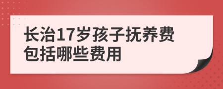 长治17岁孩子抚养费包括哪些费用
