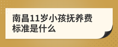 南昌11岁小孩抚养费标准是什么