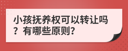 小孩抚养权可以转让吗？有哪些原则？