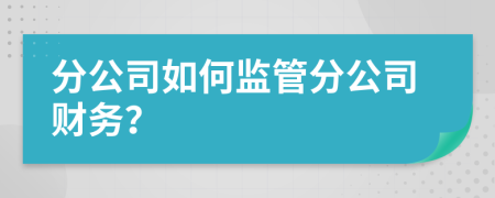 分公司如何监管分公司财务？