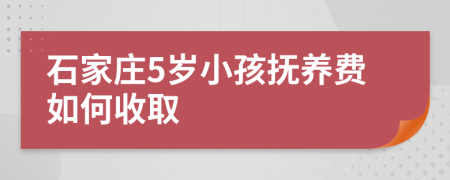 石家庄5岁小孩抚养费如何收取