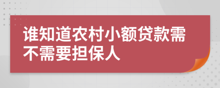 谁知道农村小额贷款需不需要担保人