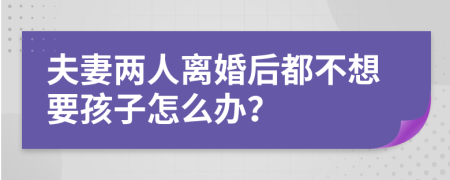 夫妻两人离婚后都不想要孩子怎么办？