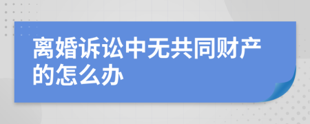 离婚诉讼中无共同财产的怎么办