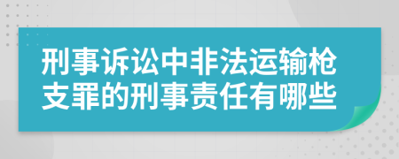 刑事诉讼中非法运输枪支罪的刑事责任有哪些